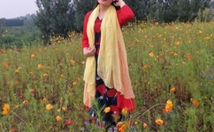 AI人脸替换忘忧草1区3区网页